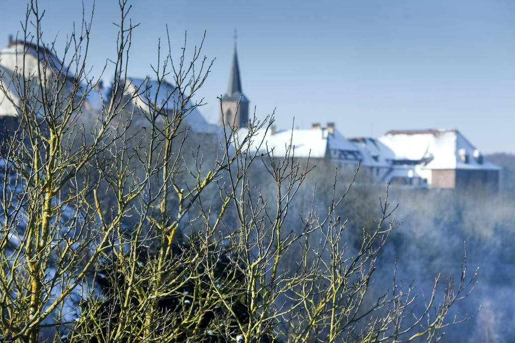 Spa Hotel Restaurant Au Lion D'Or La Petite-Pierre Kültér fotó